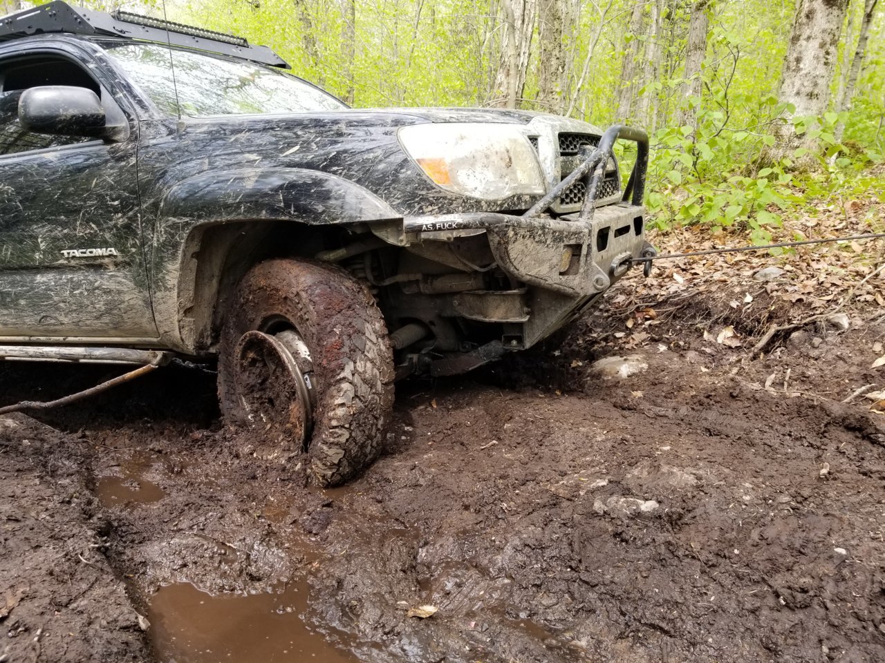20190526_153632.jpg
