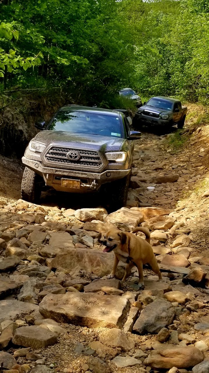 20190526_163159.jpg