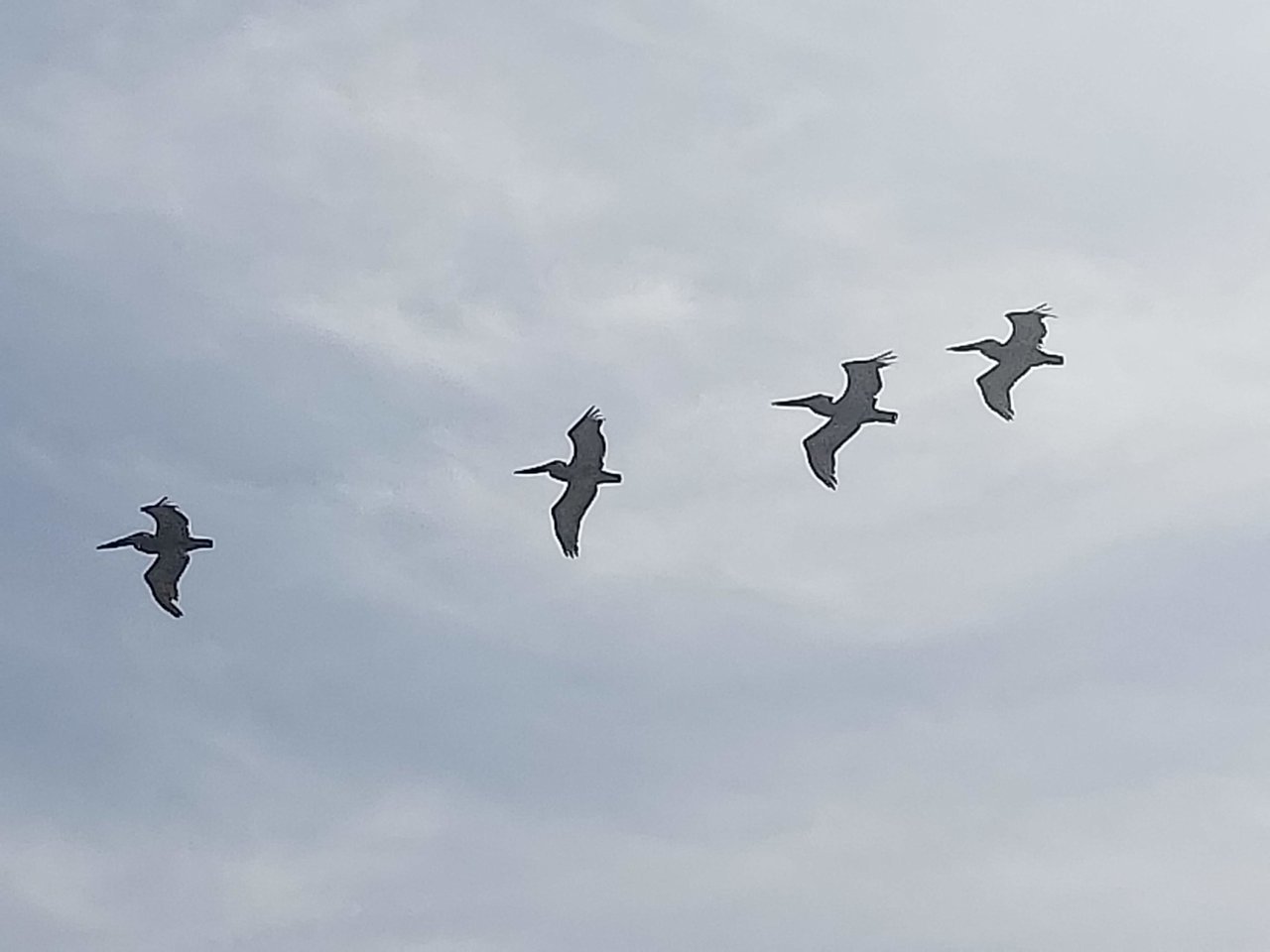 20190526_165214.jpg