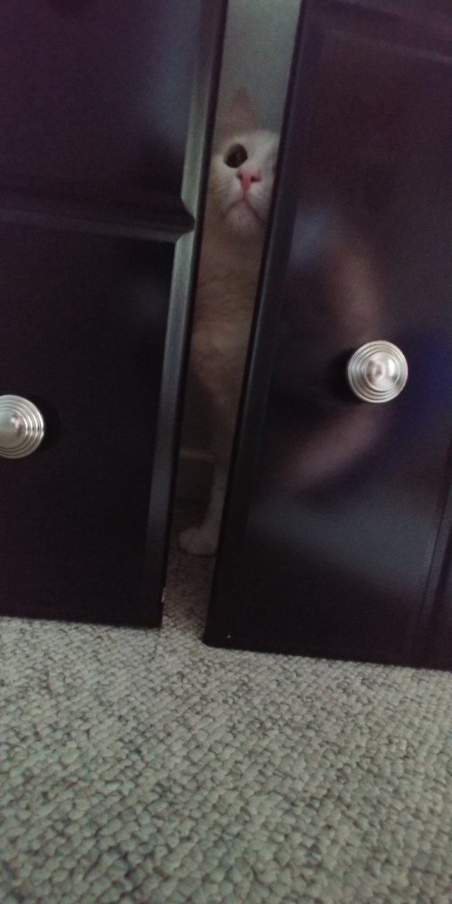 20190526_165953.jpg