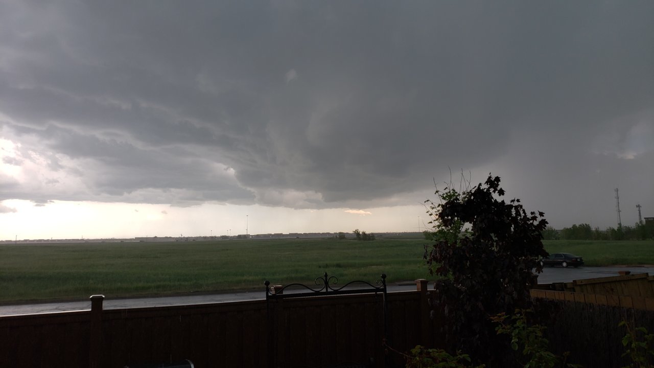 20190526_172027.jpg