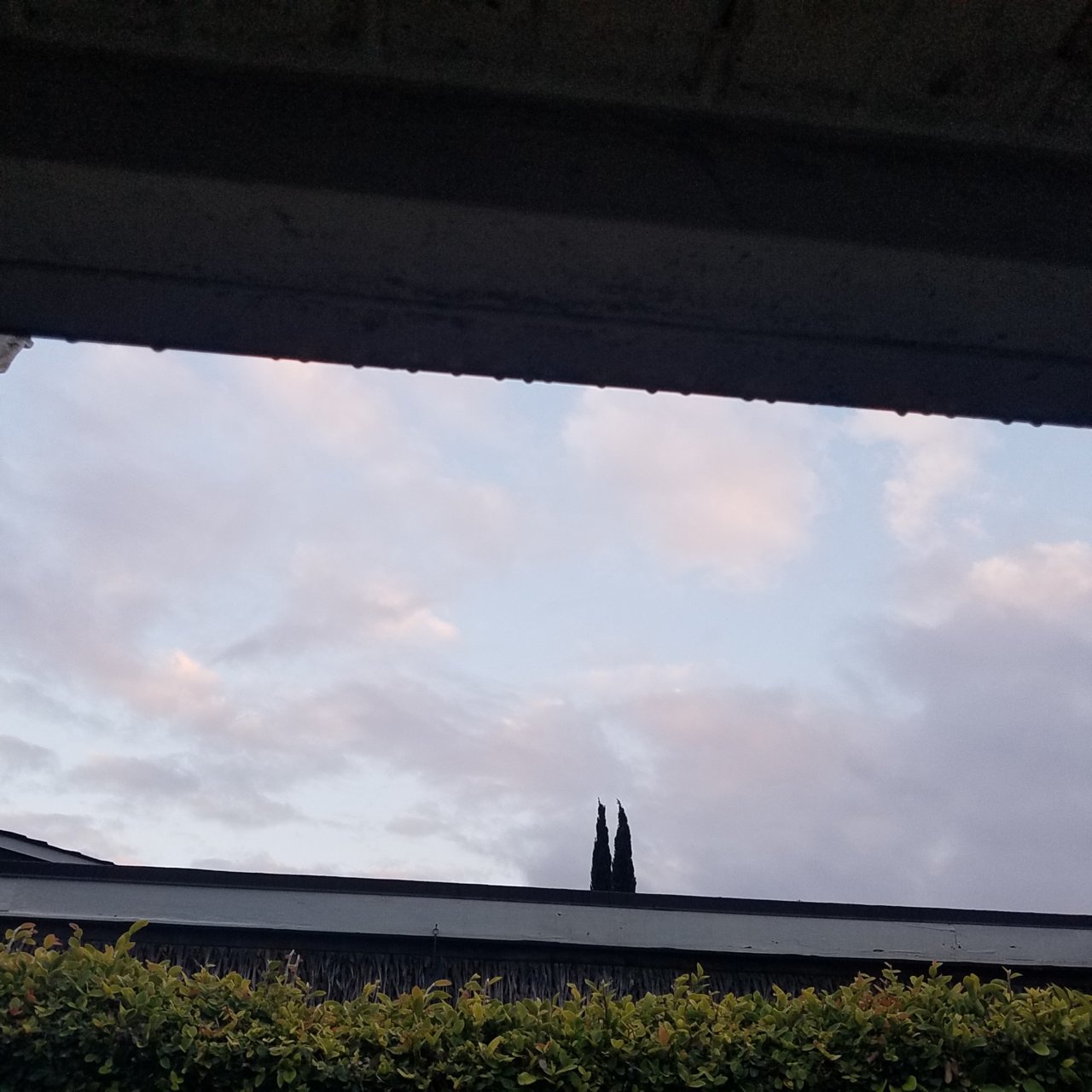 20190526_194136.jpg