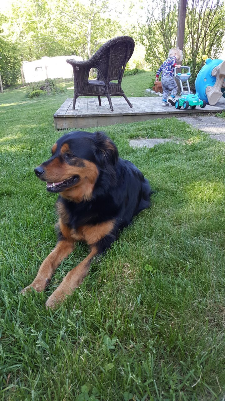 20190527_085750.jpg