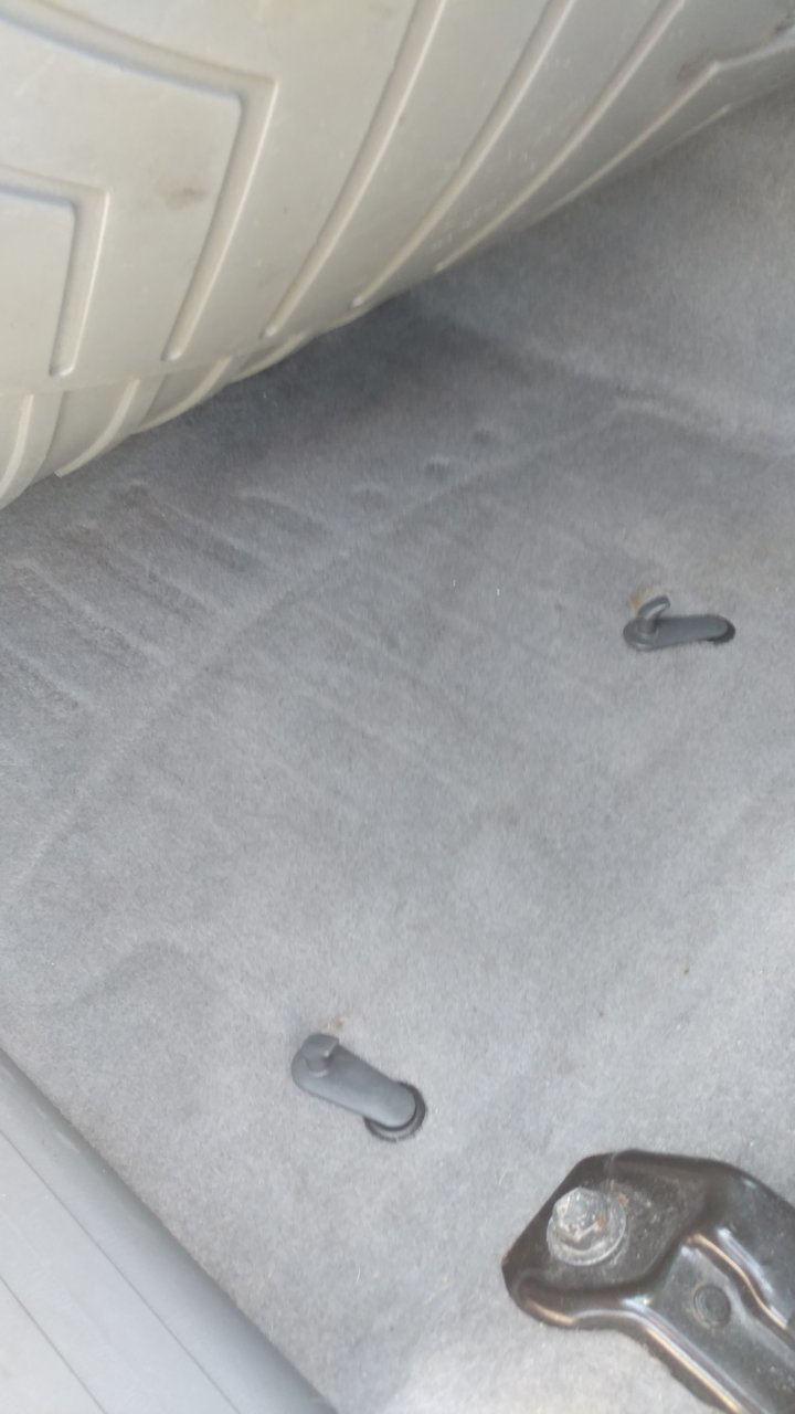 20190527_094753.jpg