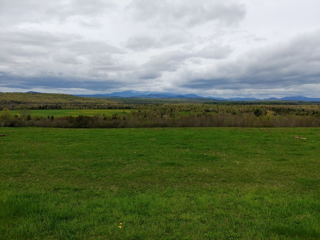 20190527_100349_HDR.jpg