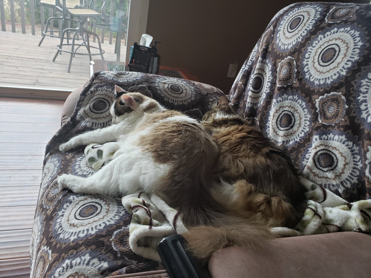 20190527_103222.jpg
