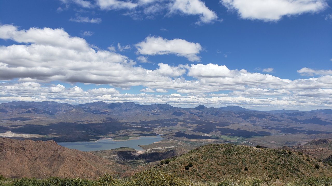 20190527_123016.jpg