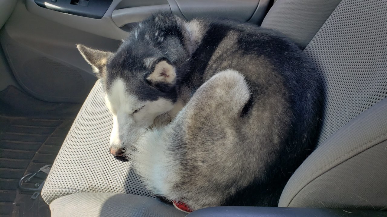 20190527_141406.jpg