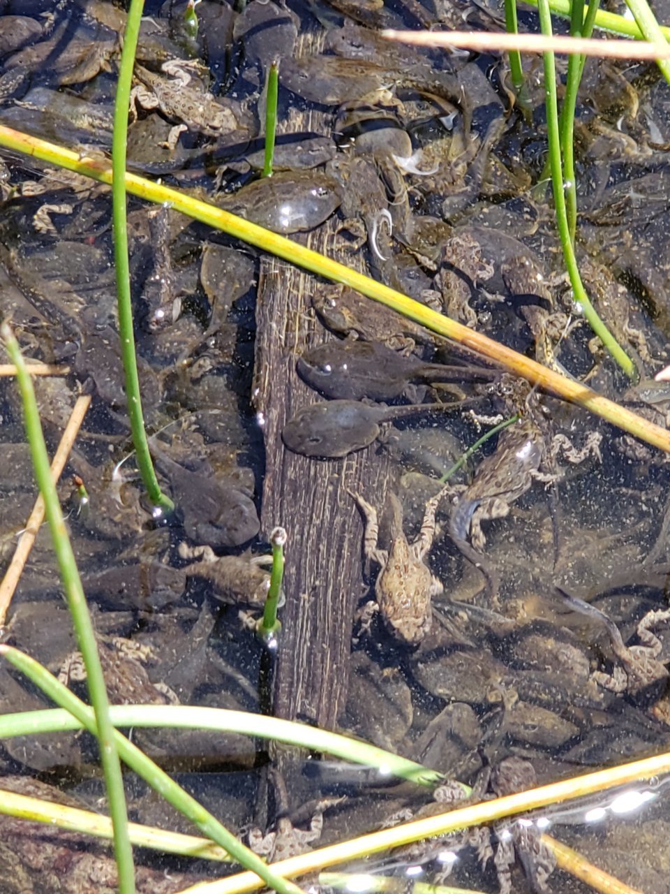 20190528_130014.jpg