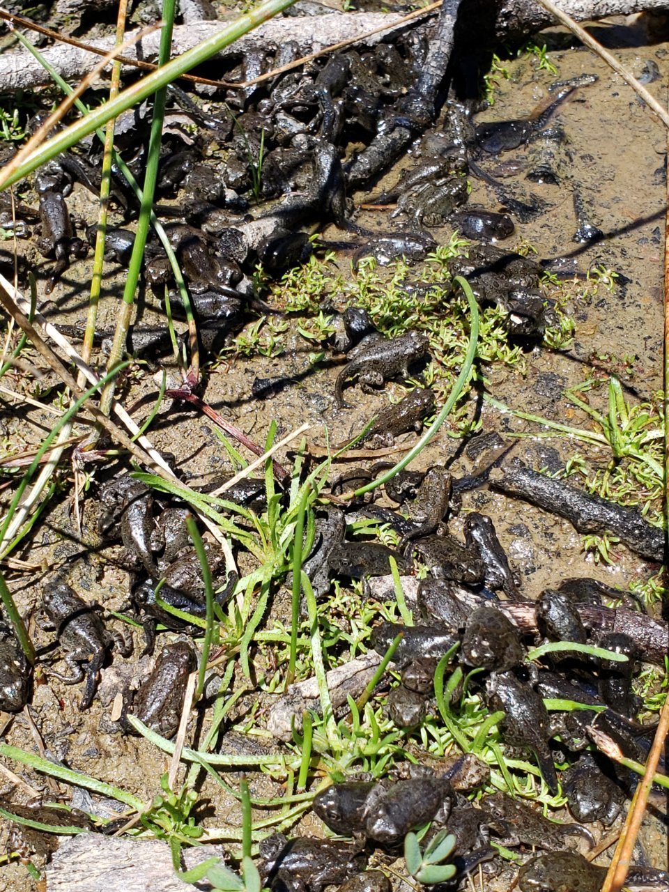 20190528_131206.jpg