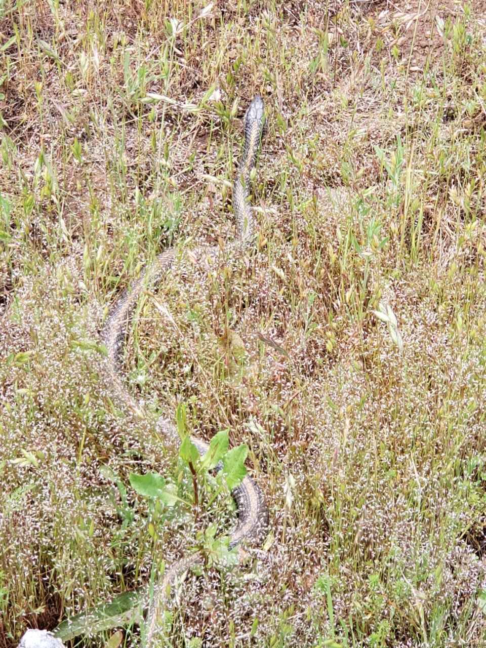 20190528_133738.jpg