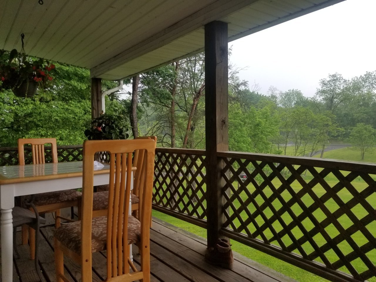 20190528_162413.jpg