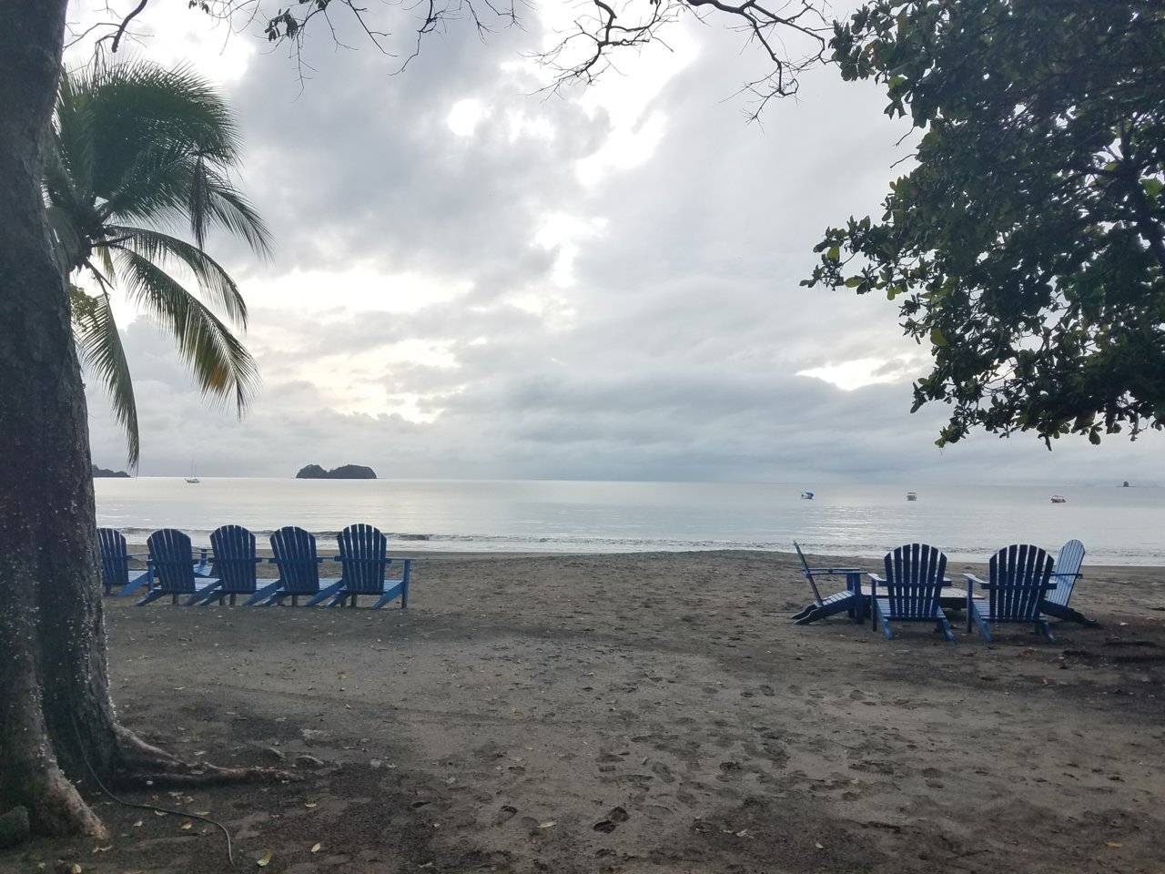 20190528_165455.jpg