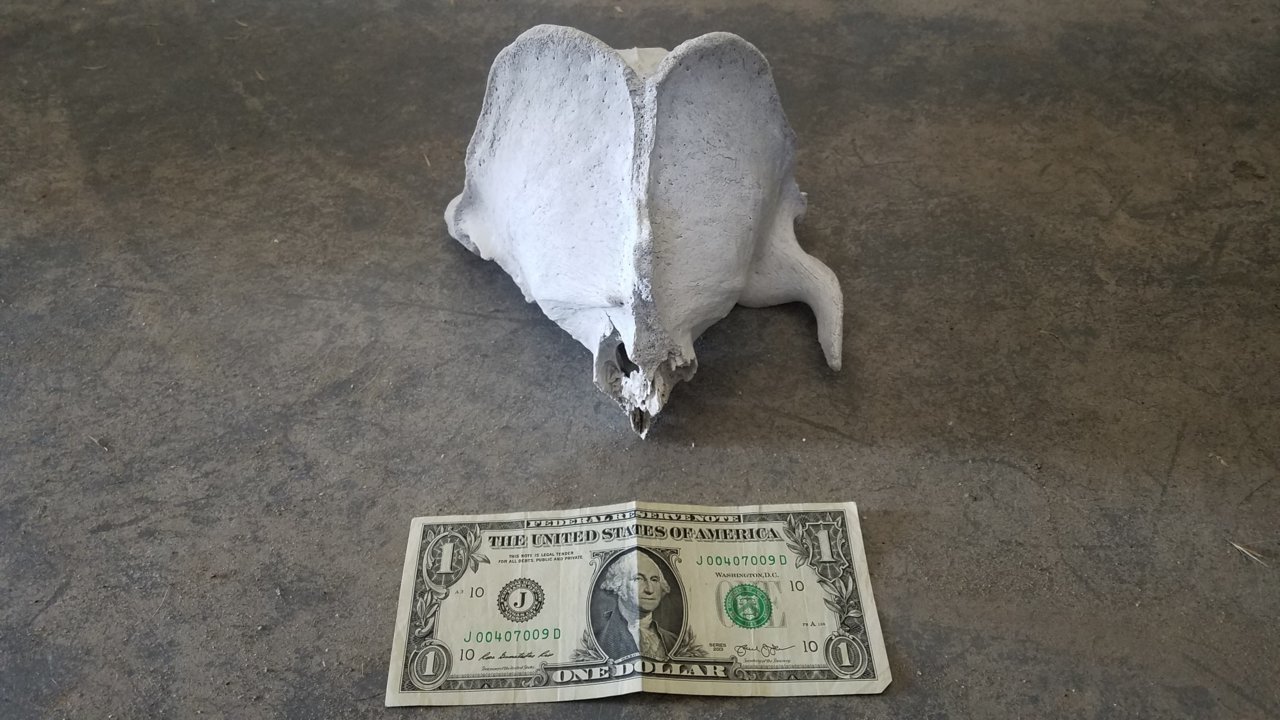 20190529_120758.jpg