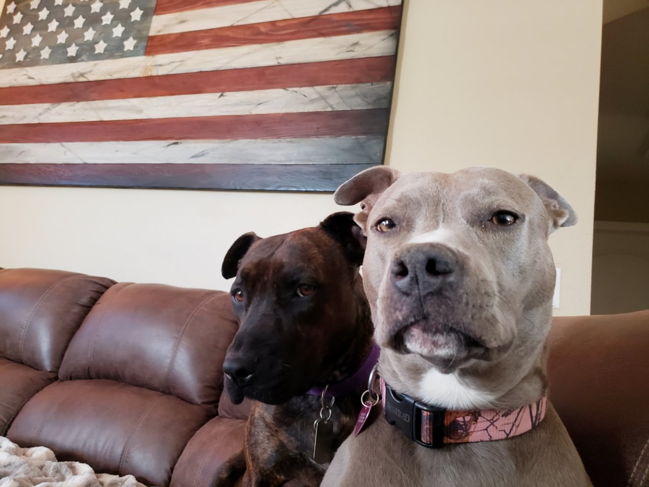 20190529_175138.jpg
