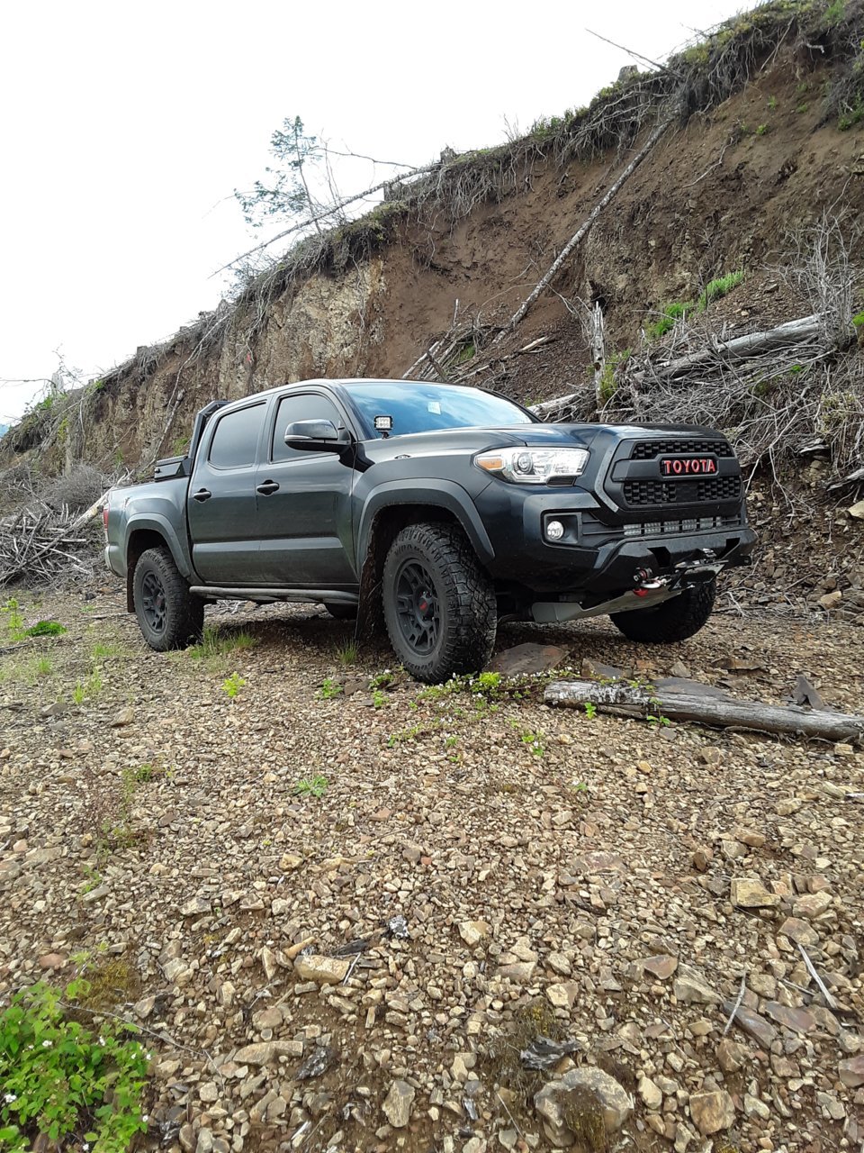 20190529_182847.jpg
