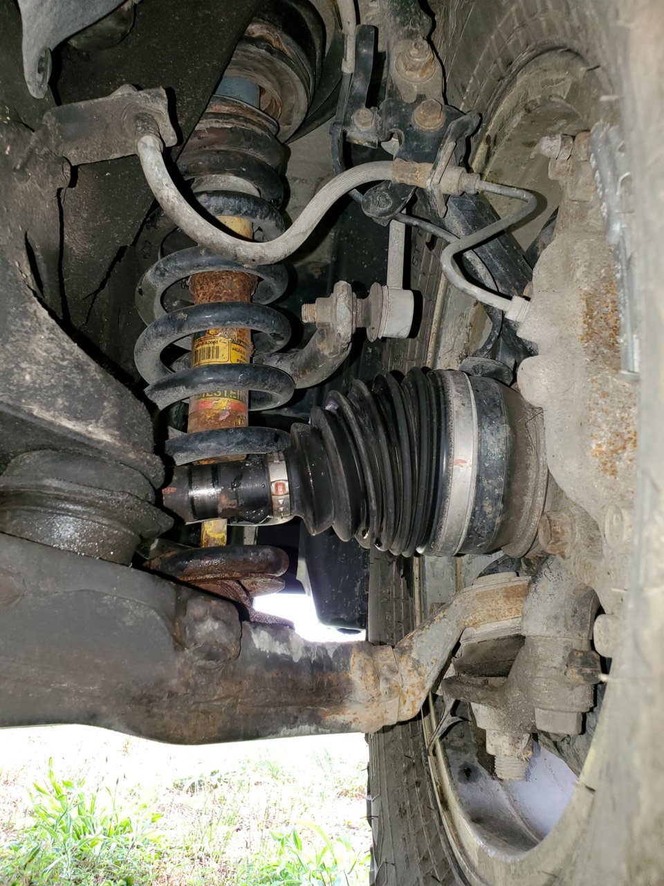20190530_110024.jpg