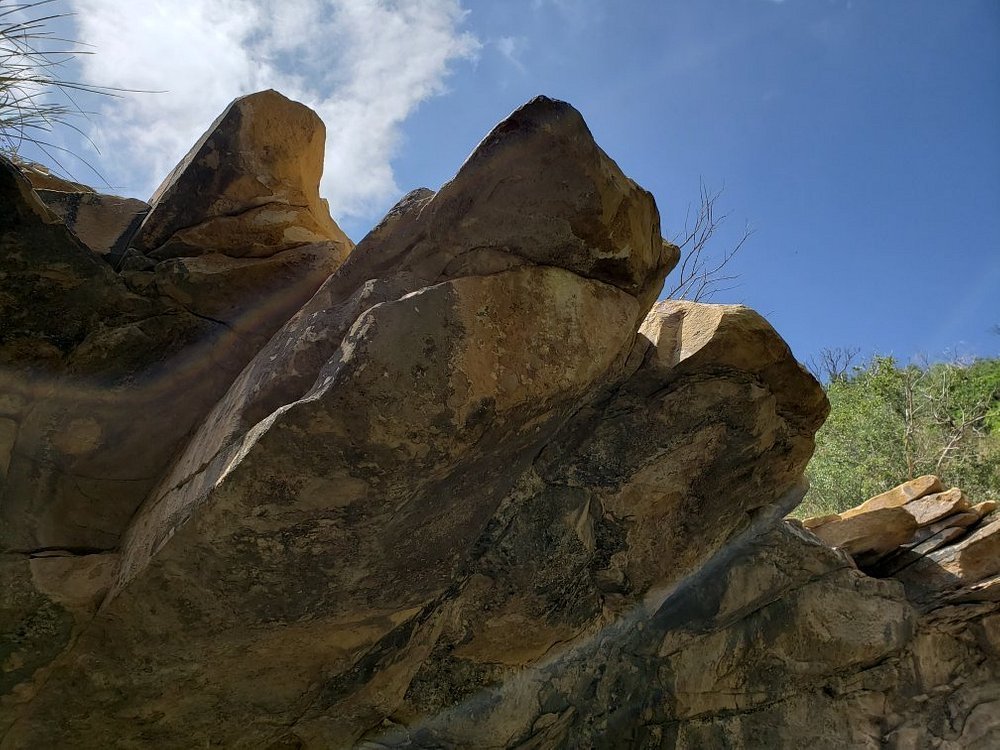 20190531-112951-largejpg.jpg