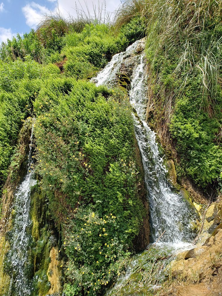 20190531-121408-largejpg.jpg