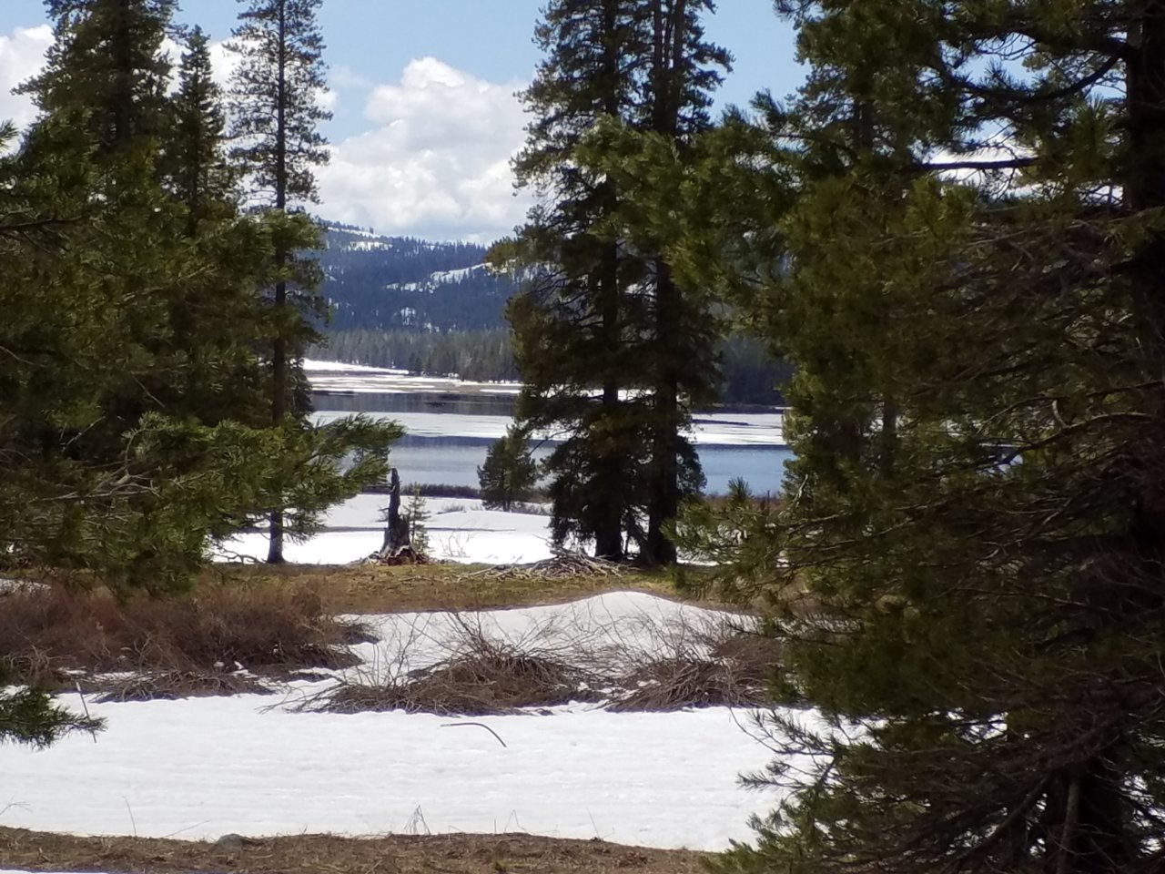 20190531_134149.jpg