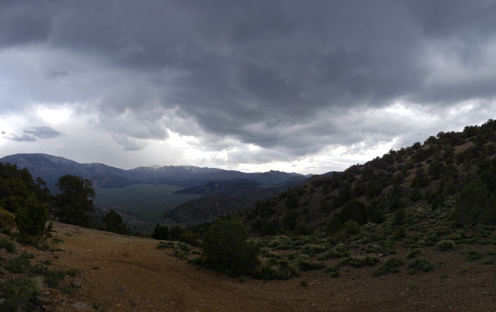 20190531_163356.jpg