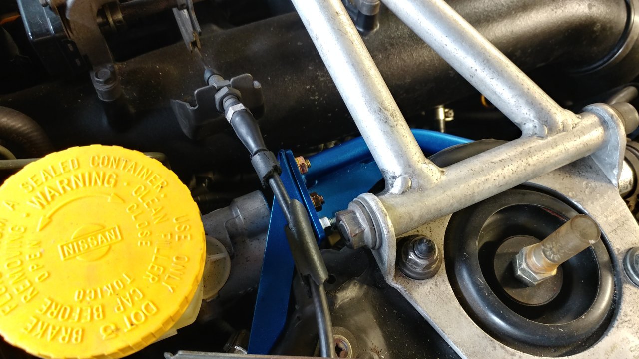 20190531_171356_HDR.jpg