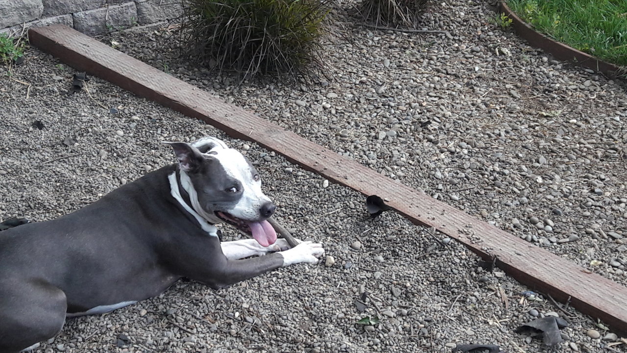 20190531_173857.jpg