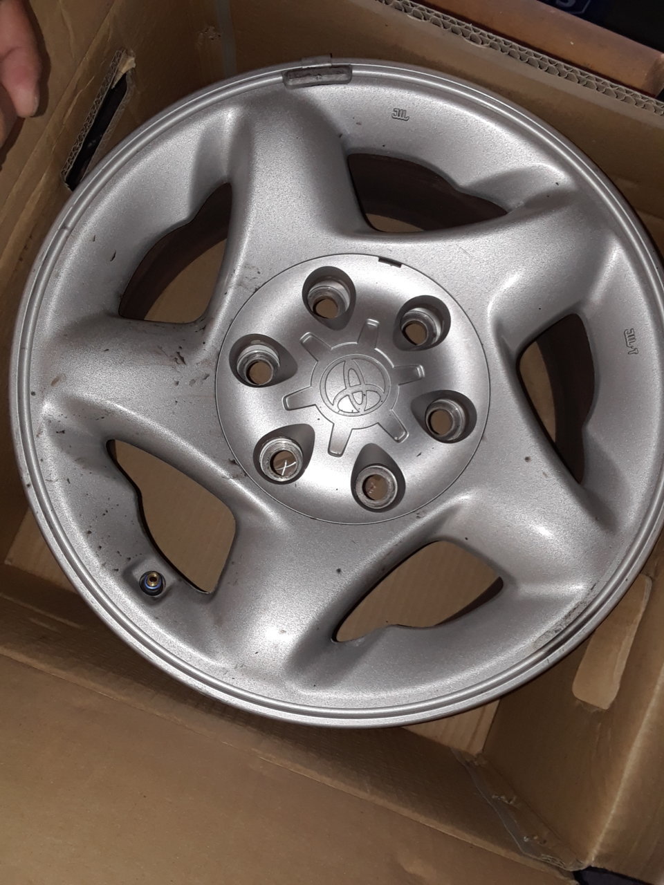 20190531_194241.jpg