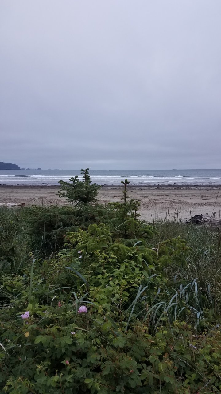 20190531_205418.jpg