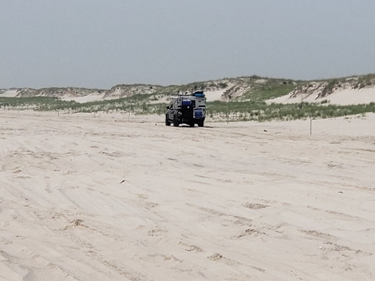 20190601_084922.jpg