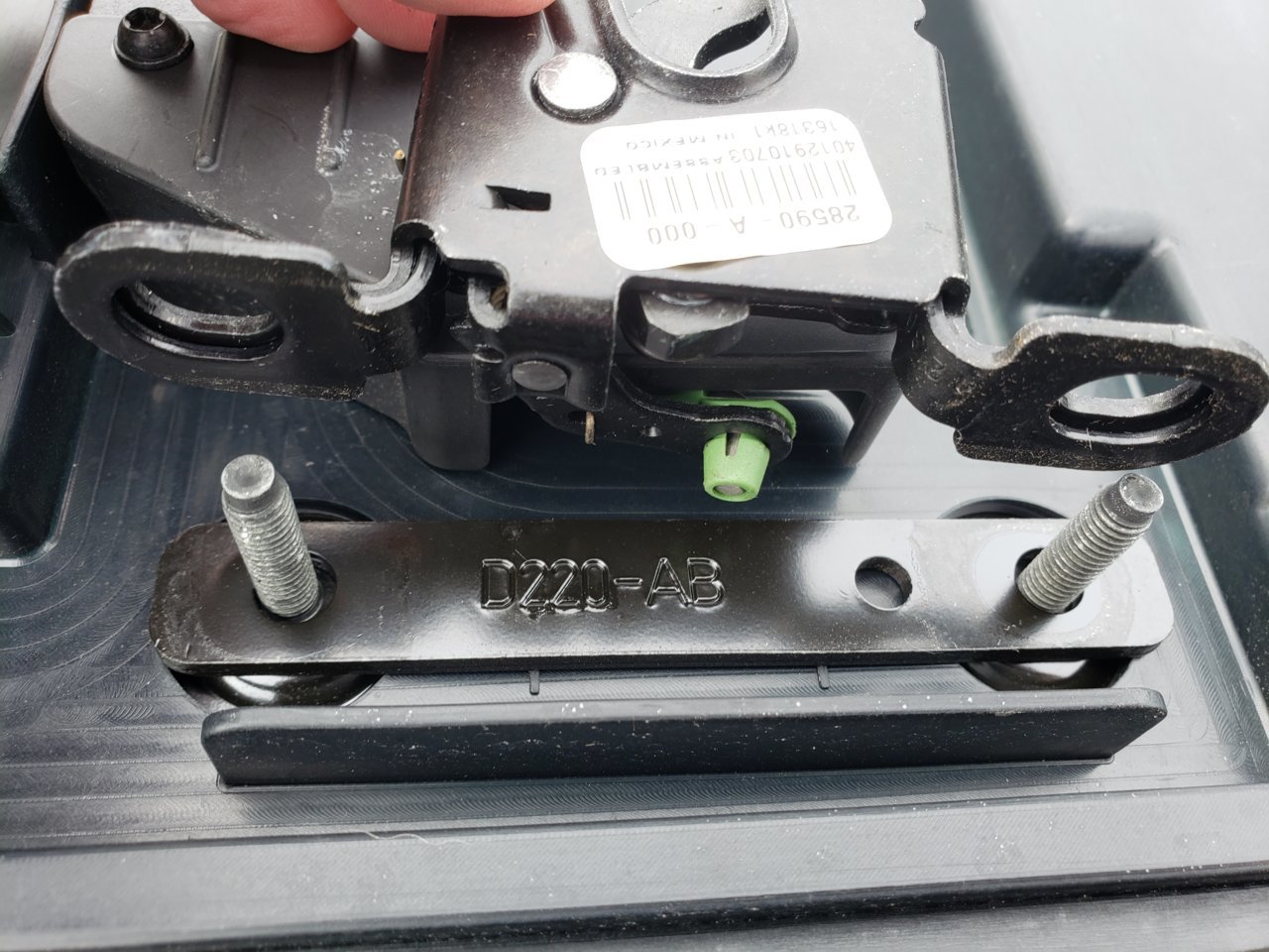 20190601_100756.jpg