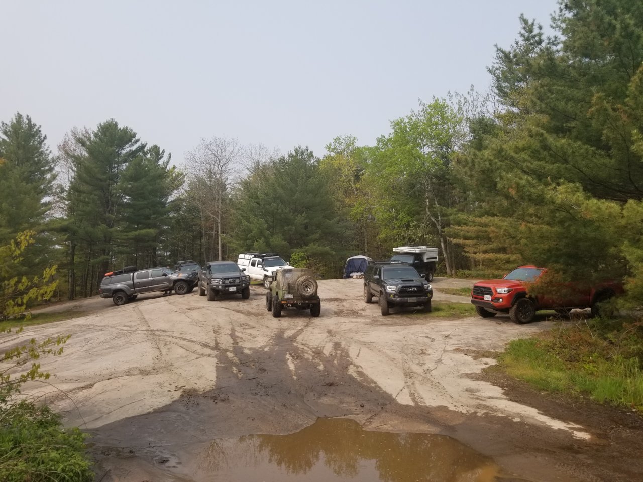 20190601_101659.jpg