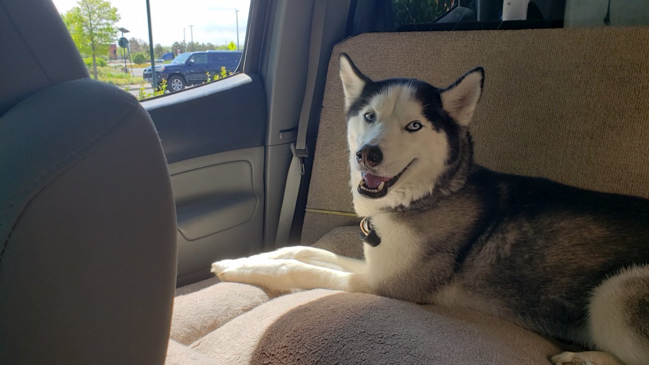 20190601_103843.jpg