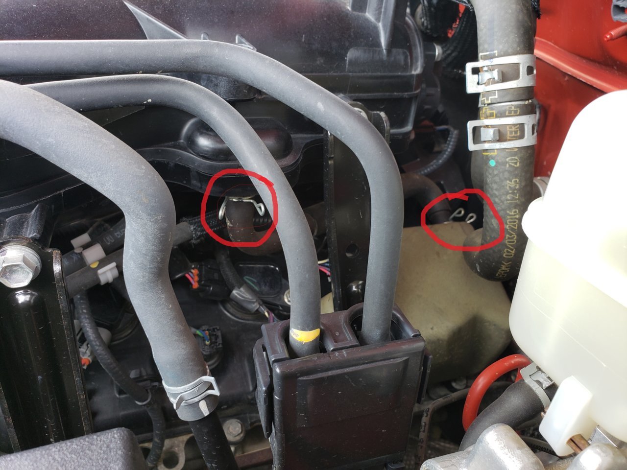 20190601_113721.jpg