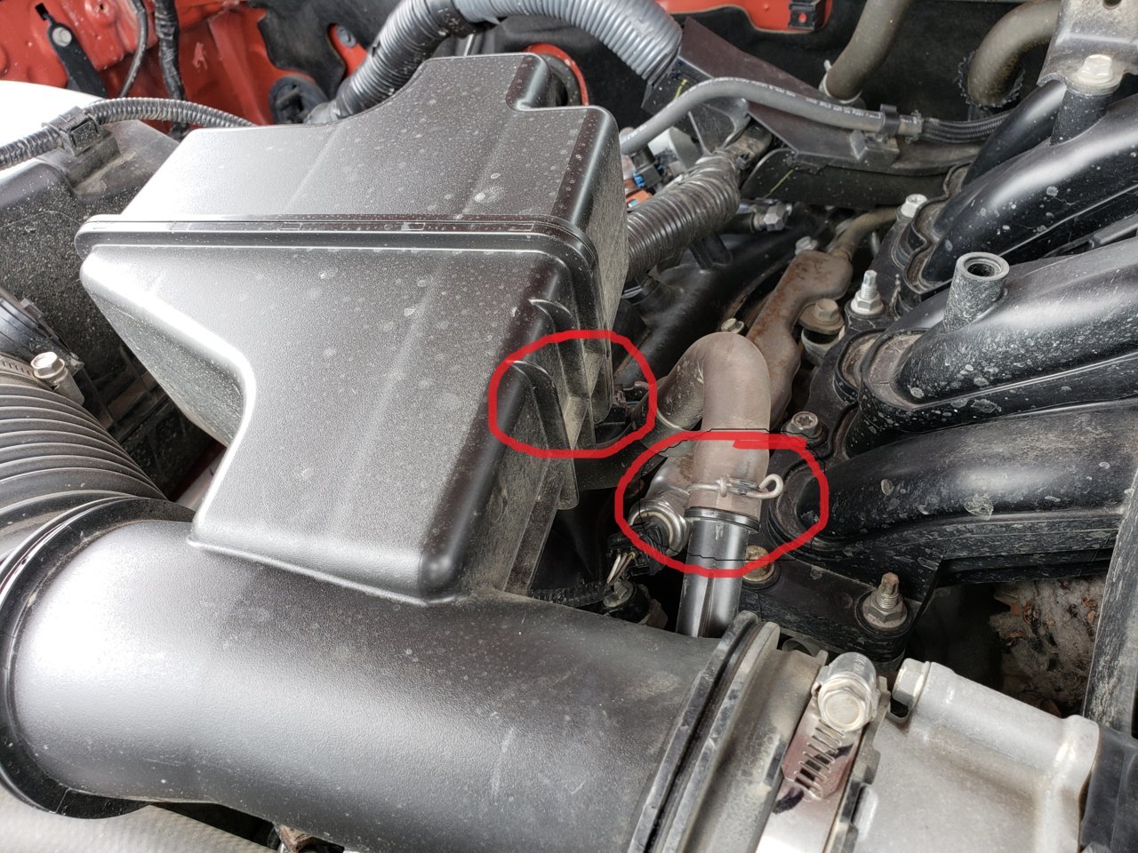 20190601_113747.jpg