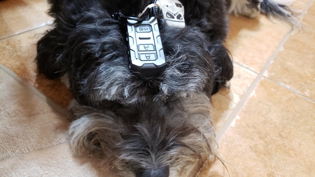 20190601_121311.jpg