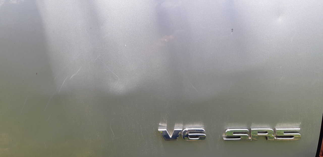 20190601_121509.jpg