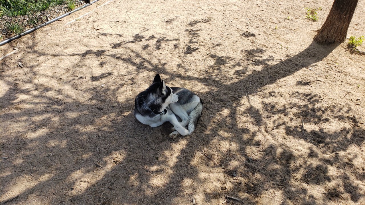 20190601_161829.jpg