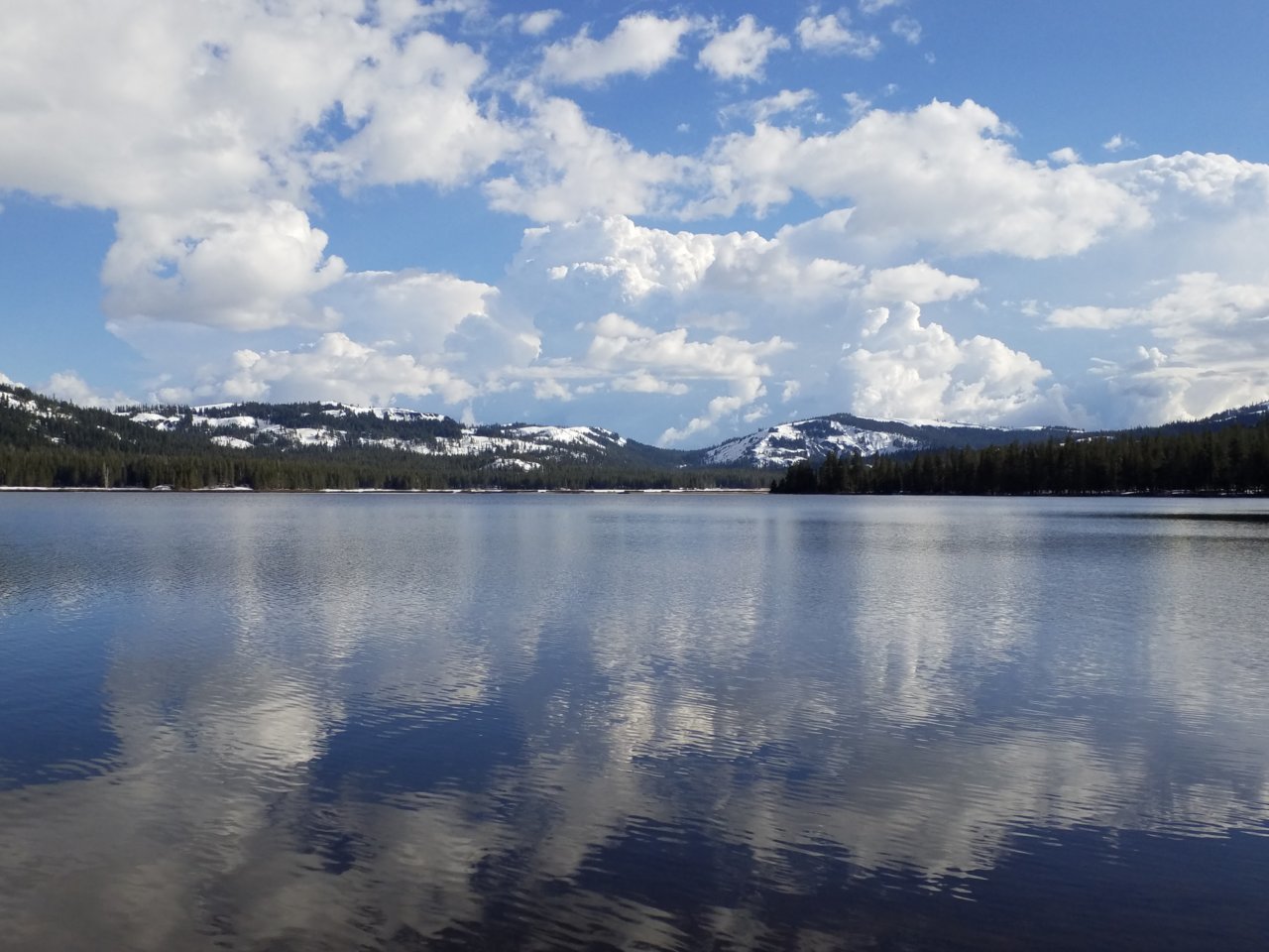 20190601_175605.jpg