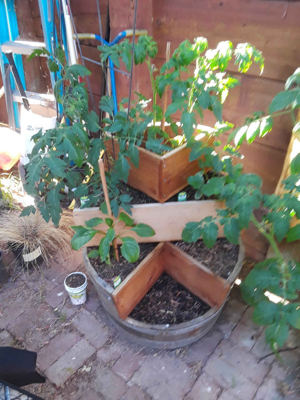 20190601_175627.jpg