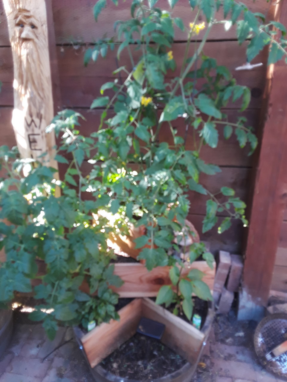 20190601_175632.jpg