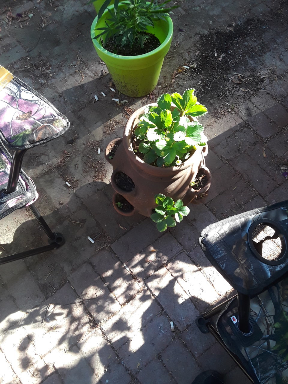 20190601_180619.jpg