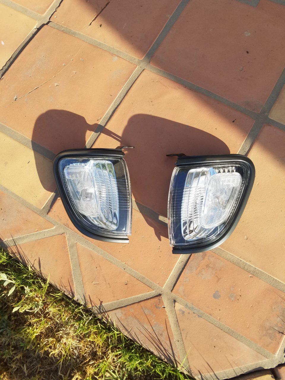 20190601_180841.jpg