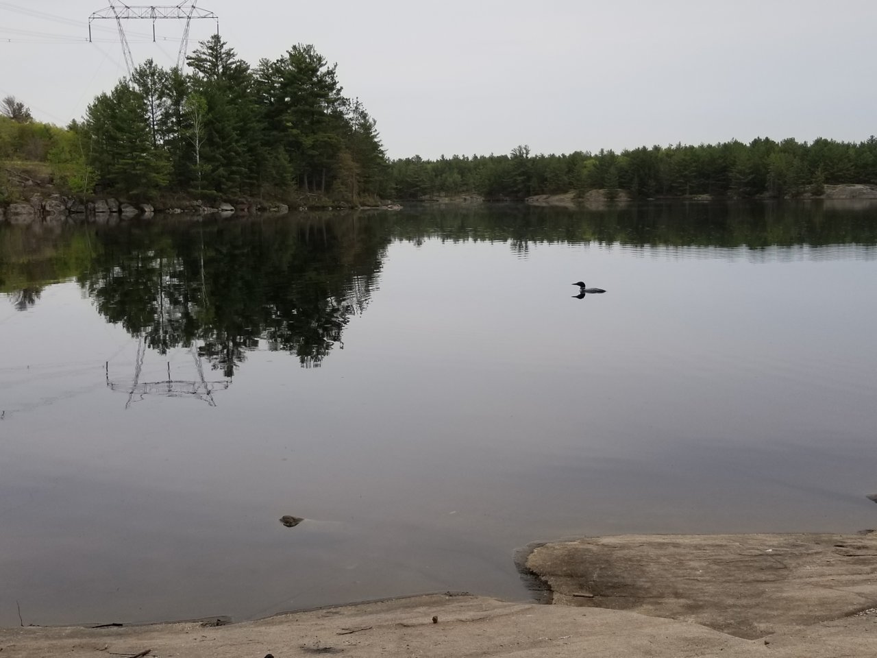 20190601_185157.jpg