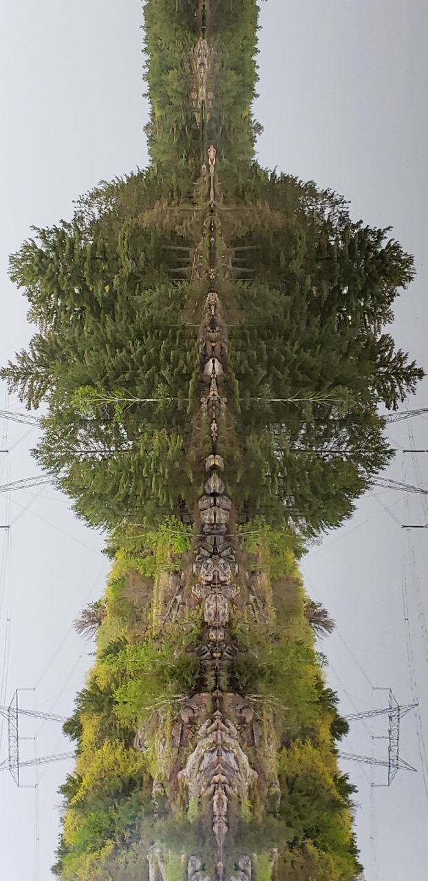 20190601_191959.jpg