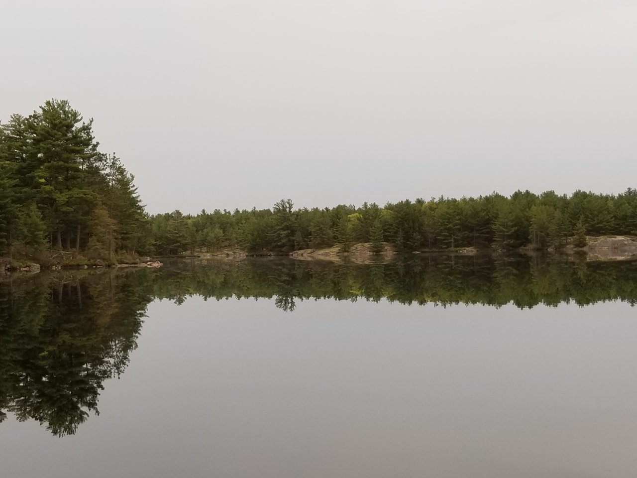 20190601_192312.jpg