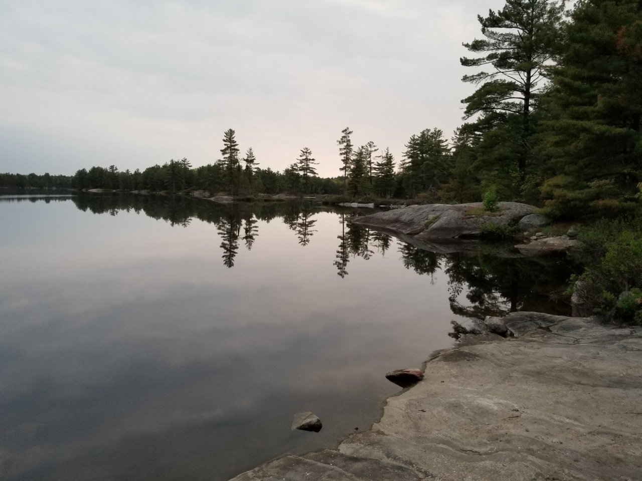 20190601_205832.jpg