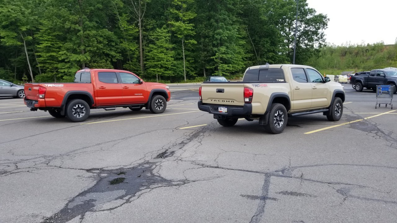 20190602_092131.jpg