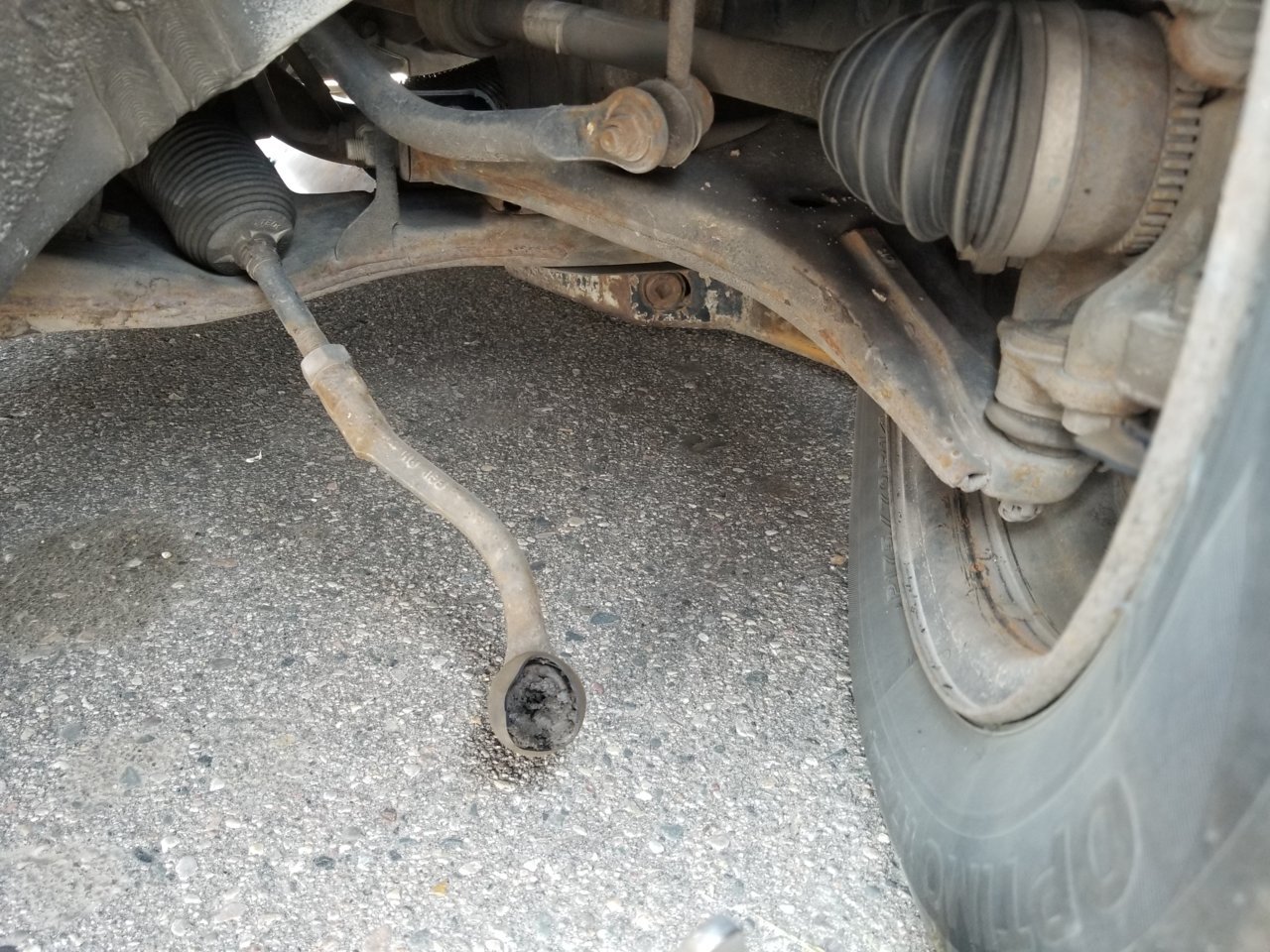 20190602_113634.jpg