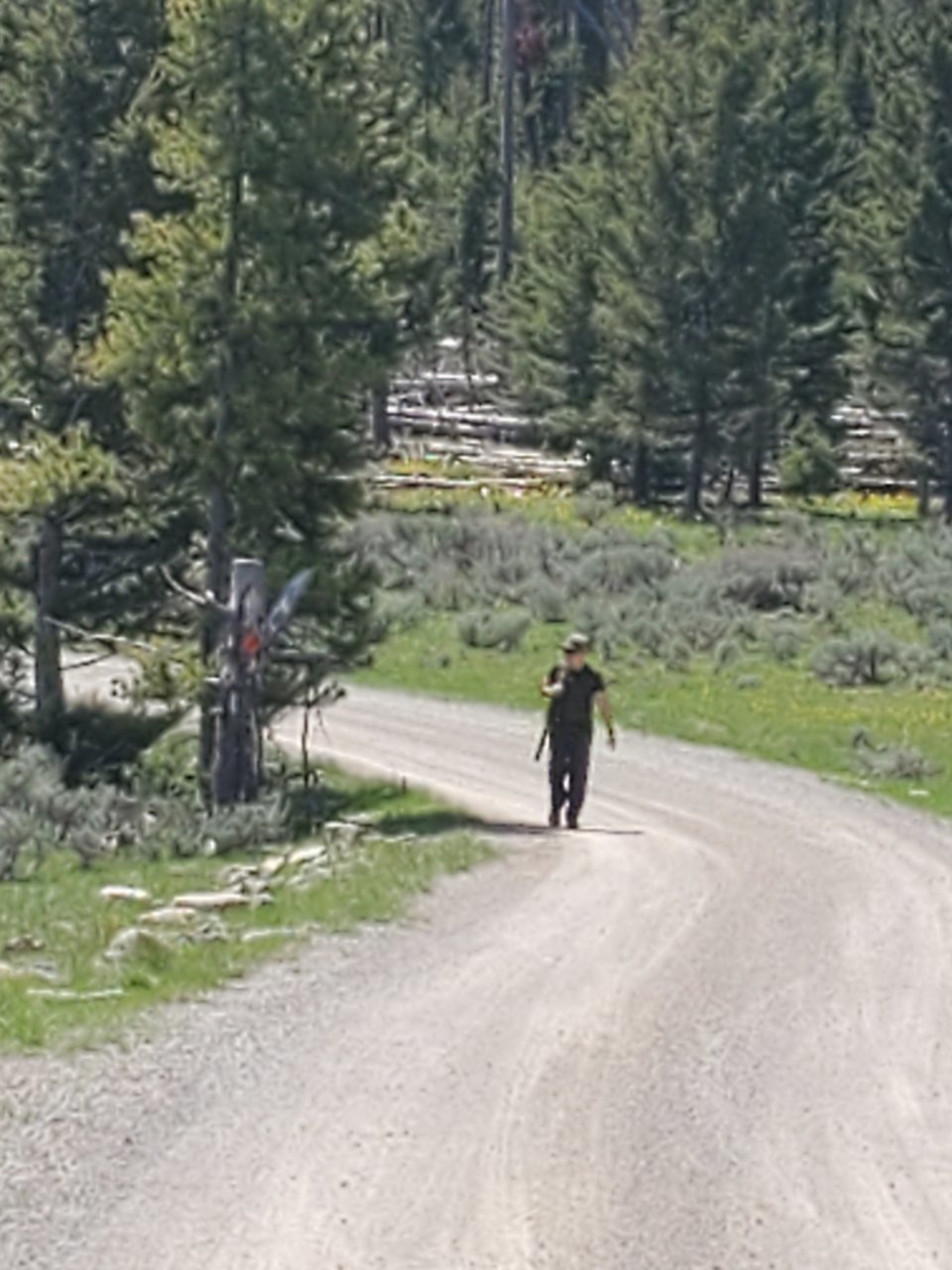 20190602_120939.jpg